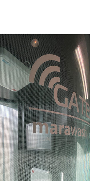 GateScan - technology solution developed by Emil Software